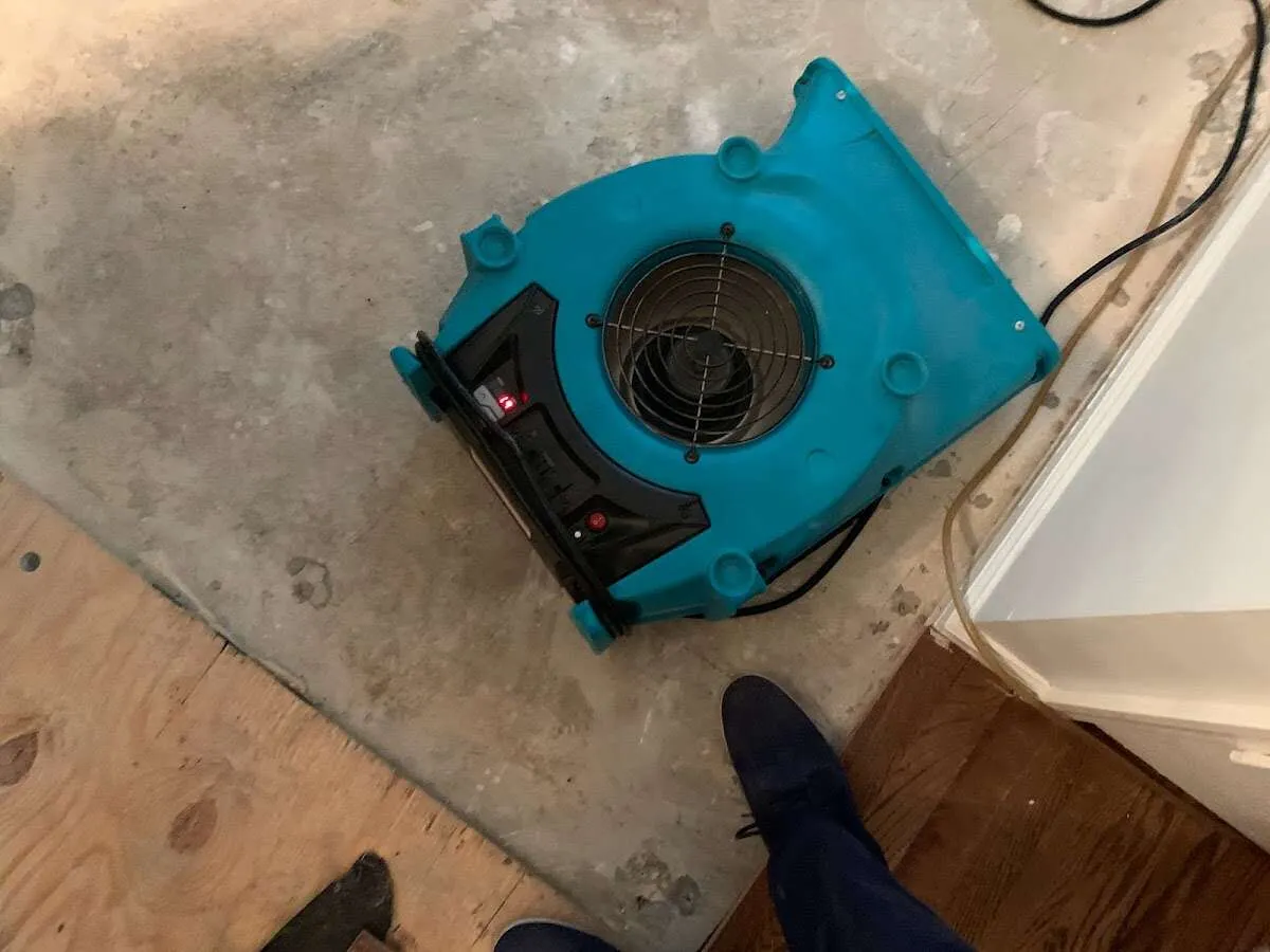 Air mover drying subfloor during Leak Detection & Repair in Crystal